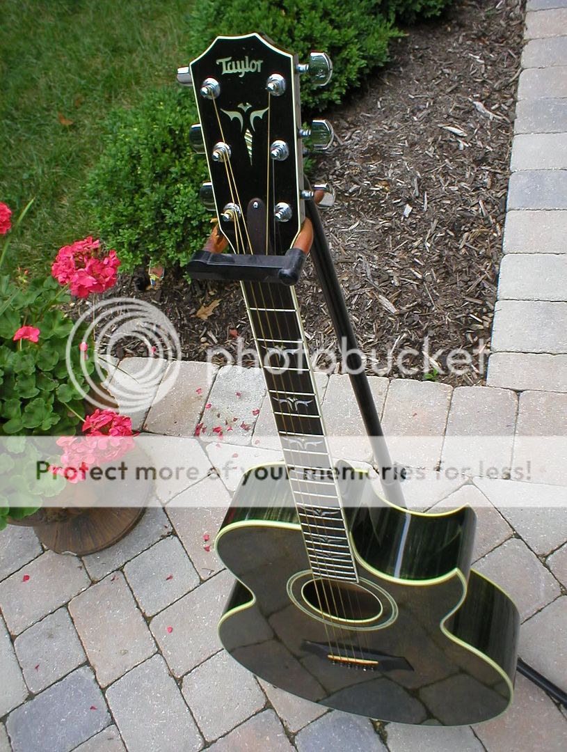 Taylor Artist Series inlay The Acoustic Guitar Forum